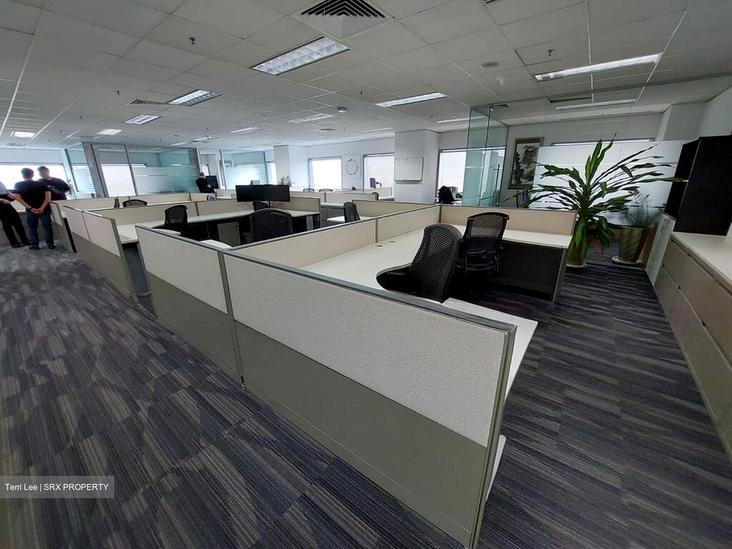 Suntec City Mall (D1), Office #516199271